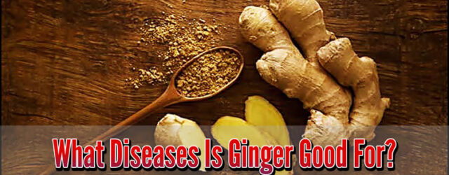 What Diseases Is Ginger Good For
