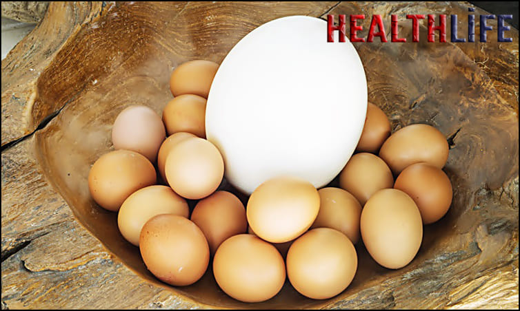 What Is Special About An Ostrich Egg
